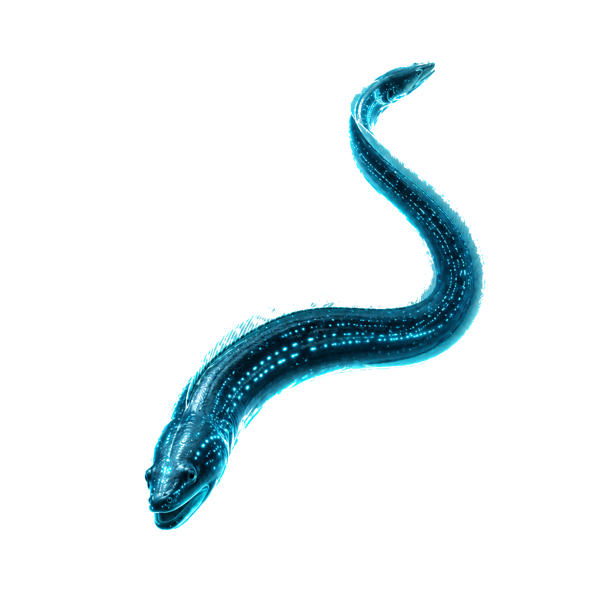 Cyber eel